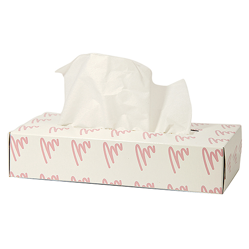 Facial Tissue, 2ply, 100 per box