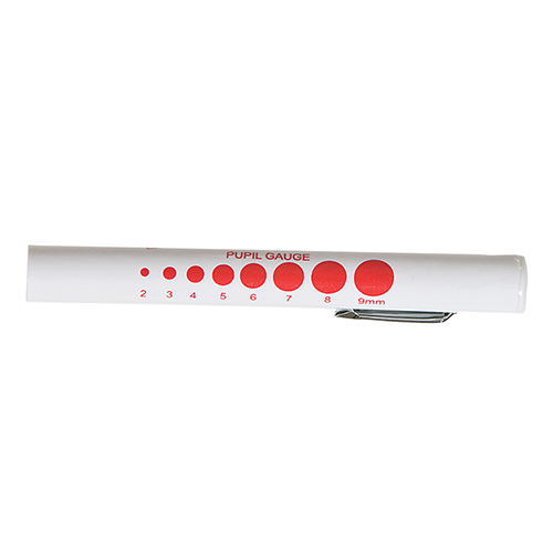 Penlight with Pupil Gauge, Disposable