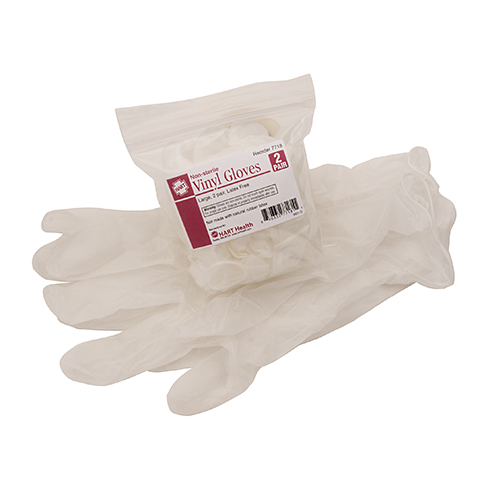 Vinyl Gloves, large, 2 pair per bag